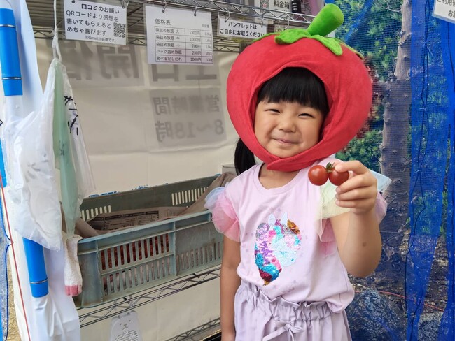 【6月土日限定】特別賞受賞トマトの無人詰め放題 双子トマト探しも