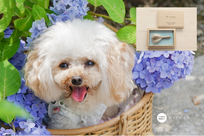 プレスリリース「豊橋筆の製造工房「筆庵」、筆職人が作るペットの筆「ペットの抜け毛で作る小さな筆」愛犬や愛猫たちの愛らしい毛をいつまでも温かな思い出に」のイメージ画像