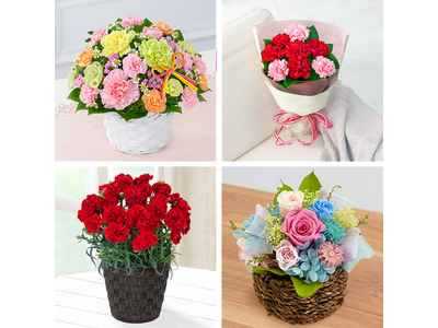 �y�A���P�[�g�����z5��10���͕�̓��B���ꂳ��̃C���[�W�J���[�́u�ԁv��7���ȏ�B����Łu�����J���[�v�őI�ԐV�������_��