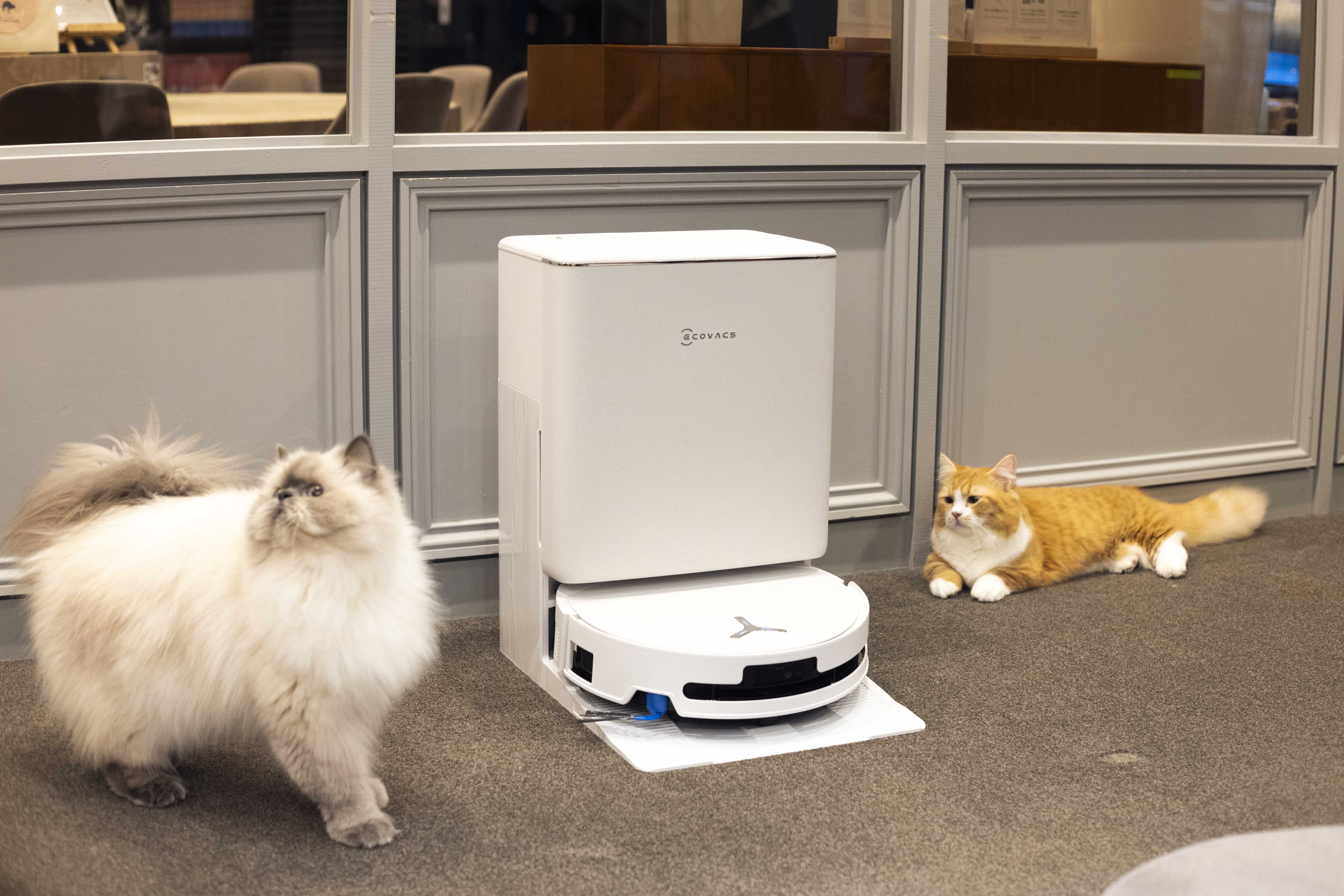 エコバックスが猫カフェ・屋内ドッグランなどペット施設にロボット掃除機「DEEBOT T90 シリーズ」を導入
