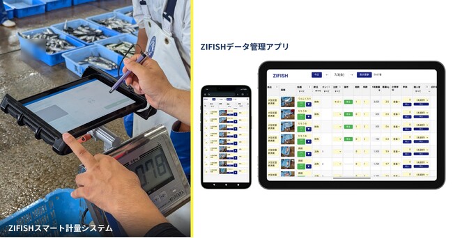 漁協の水揚げ作業を「3時間→1時間」に。ZIFISHスマート計量システムの