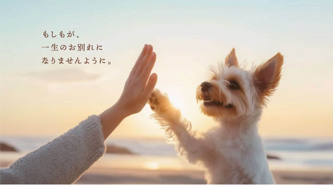 【日本ペット防災協会 設立発表会を開催】※2025年5月20日開催予定※報道機関向け記者会見の参加受付を開始！