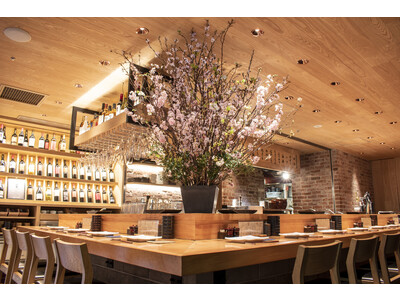 咲き誇る満開の桜と春を告げる美食体験を。今年で４年目を迎える店内でお花見ができる「桜の見えるレストラン」...