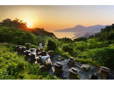 ���Y�͂��݂̍�������ʂ́A�킸��6���@�H�̖��������w�тƑ̌��̋��_�u�~�c�o�`�������{�v�a����