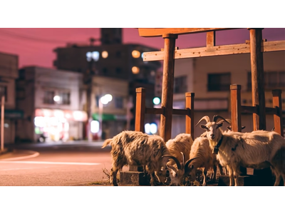 �g���SAI����h �B�e��؂Ȃ��̃~���[�W�b�N�r�f�I�����J