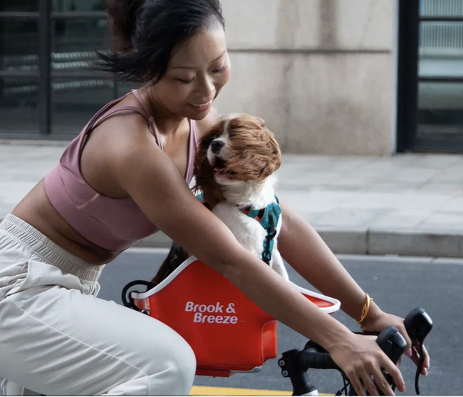 Brook & Breeze、Interpets Osaka 2026 に出展　“犬視点”から生まれたペットモビリティを展示