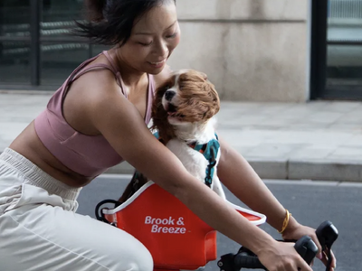 Brook & Breeze、Interpets Osaka 2026 に出展　“犬視点”から生まれたペットモビリティを展示