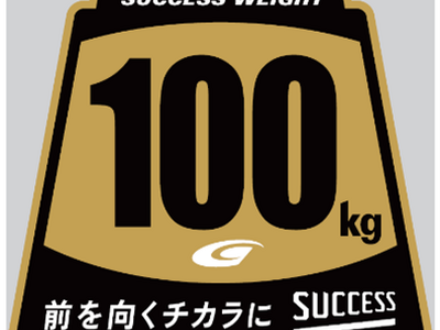 SUPER GT、第2戦より「サクセスウェイト」表示ステッカー刷新