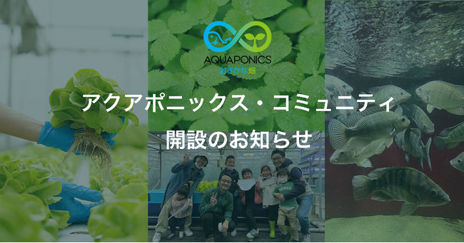 「アクアポニックス・コミュニティ」を開設