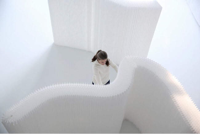 オーラスとノア、カナダ発デザインブランド「molo」のショールームを六本木・ARECで共同運営