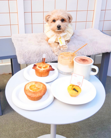 国産無添加トリーツ「Barky Bites」、生マフィン専門店「muf 生マフィンと時々、お花。」にてお取り扱い開始