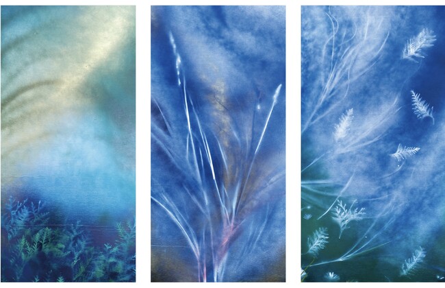 プレスリリース「【パリ凱旋】自然の造形美を写し出す「ネイチャーアート」個展、銀座で開催。」のイメージ画像