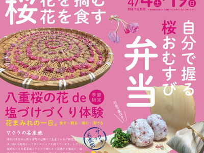 桜の新しい楽しみ方を提案！～花摘み体験と塩漬けづくりで、桜を身近に味わうチャンス