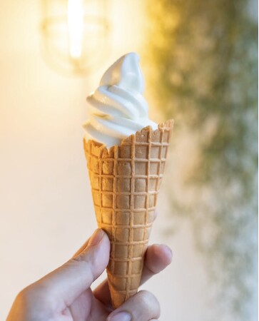 木崎湖の絶景と楽しむ「MT. DESERT ISLAND ICE CREAM」の人気ソフトクリームが THE KIZAKI CAMP & LAKE RESORT に登場！