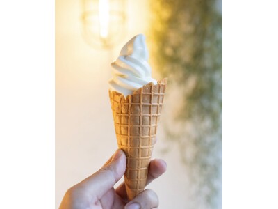 木崎湖の絶景と楽しむ「MT. DESERT ISLAND ICE CREAM」の人気ソフトクリームが THE KIZAKI CAMP & LAKE RESORT に登場！