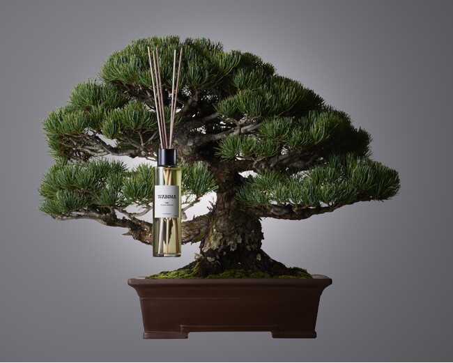 日本の美意識に基づく盆栽フレグランス WABIMA 空間ディフューザーを展開