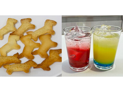 身近な「おさとう」のひみつを科学で解き明かす！食物栄養学科が体験型食育ワークショップ「おさとうマジック実...