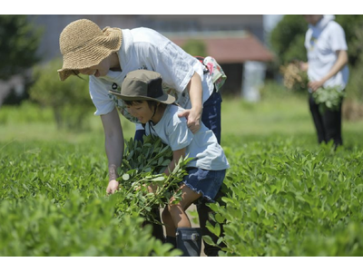 新鮮な落花生を存分に味わい尽くす特別な1日！！~Bocchi Farm to table~『野積祭2025夏』8月9日開催！