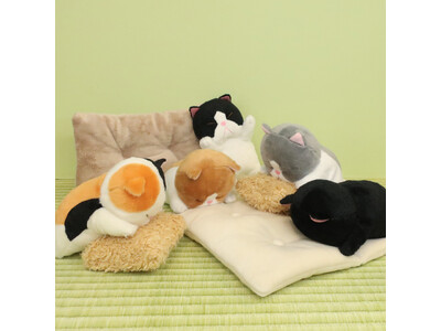 寝姿がまるで棒のような猫「ぼうみたいなねこ」に、ごめん寝ポーズをした可愛いぬいぐるみが新登場！