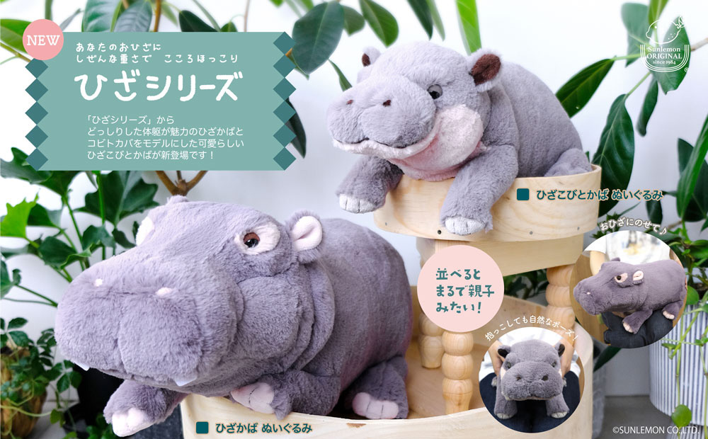 【癒し系ぬいぐるみ】自然な重さに癒される「ひざシリーズ」からカバのぬいぐるみが登場！