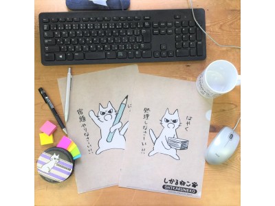 【しかるねこ】あなたを叱る、優しいねこのヴィレヴァン限定グッズが、オンラインストアでご予約受付開始！！