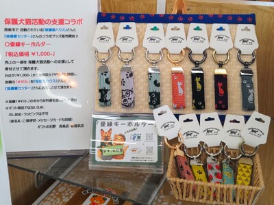 愛媛県西条市で広がる保護犬猫活動の輪！地域の畳店・ショップ・ボランティアが連携