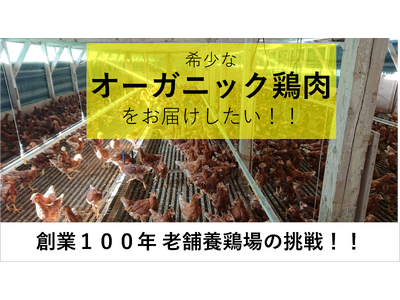 オーガニック鶏肉生産販売挑戦のクラウドファンディング開始