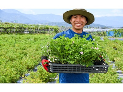 【新事実】ローズゼラニウムの保湿力はアロエの3.2倍！一般社団法人日本臨床試験協会（JACTA）の試験で判明。