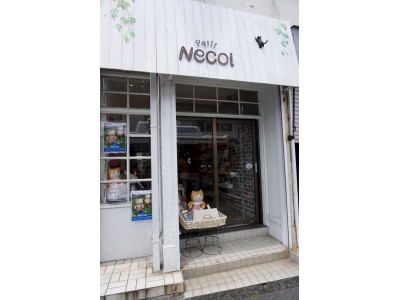 逗子に猫（好き）まっしぐら！な可愛いネコグッズのお店「petit necol」が誕生！