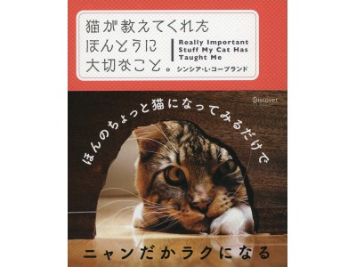 ほんのちょっと猫になってみるだけでニャンだかラクにニャル！ 『猫が教えてくれたほんとうに大切なこと。』発売です！