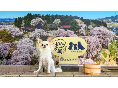 旅行メディア「旅色」で「丹泉ホテル」が提供する宿泊プランの販売を開始しました