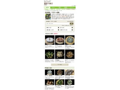 NHK出版「みんなの趣味の園芸」で、多肉植物・サボテン図鑑 ...