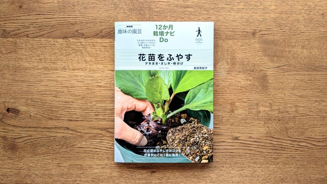 『NHK趣味の園芸　12か月栽培ナビDo　花苗をふやす　タネまき・さし木・株分け』が5月17日発売！　家庭園芸に必要な「作業」に特化したシリーズの第3弾。