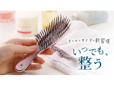 【新提案】大きいと不便、小さいと物足りない。ブラシ選びの悩みに応える新提案