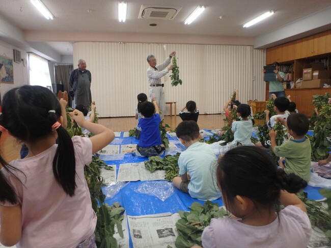 【7/9(木)～7/31(金)まで順次開催】伊丹、宝塚、三田市内の保育園等で早生黒大豆枝豆（品種：たんくろう）のさやもぎ体験を実施します。