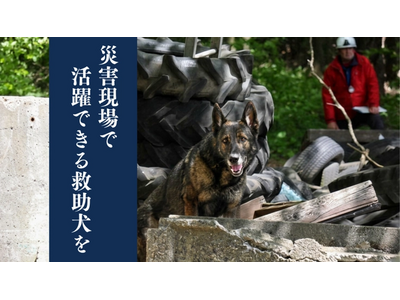 救助犬訓練士協会（RDTA）が、国際基準の救助犬育成と認定試験開催のため300万円を目標にクラウドファンディングを開始