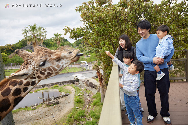 アドベンチャーワールド『Always Together』30周年記念 和歌山在住こども入園無料「和歌山こどもアドベンチャーパス」6/1~7/17実施