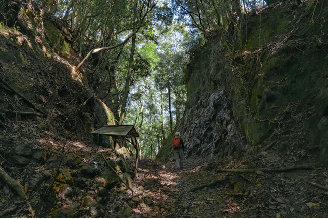 徒歩と公共交通でめぐる世界遺産の旅「熊野古道大辺路デジタルスタンプラリー」全9コースを5月1日よりロングラン開催