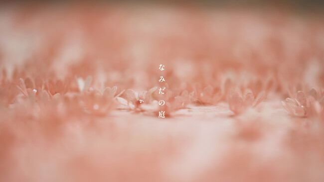 ドレス作家が縫う、心に纏う物語。　大人に向けた絵本『なみだの庭』発売