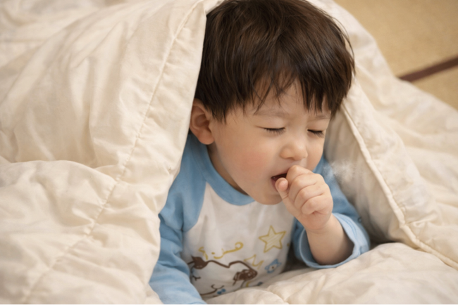 アレルギー対策寝具「アレルギークリア」子どもの眠りを守る、新しい選択肢として新登場