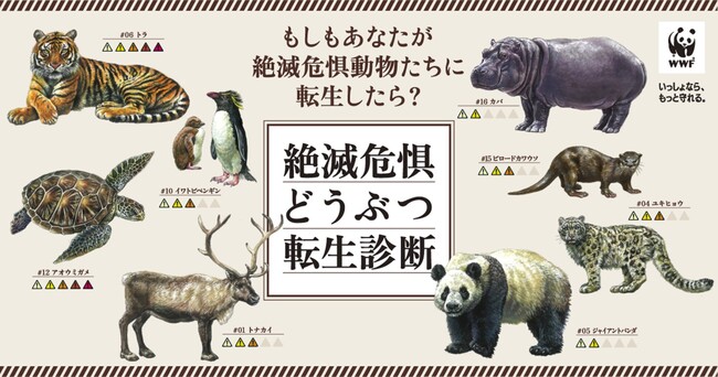 もしもあなたが絶滅のおそれのある野生動物に転生したら？「絶滅危惧どうぶつ転生診断」をウェブサイトで公開