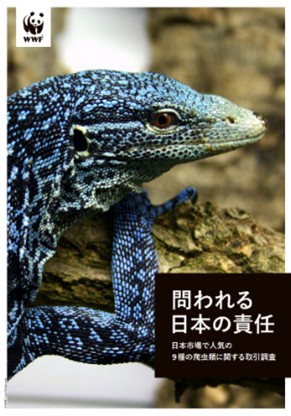 爬虫類9種の取引レポート「問われる日本の責任」を発表 合法性・持続