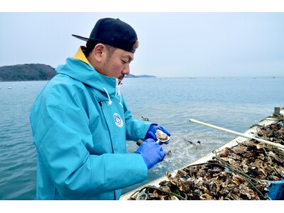 牡蠣卸直送の三陸産生牡蠣が１個１００円（税別）