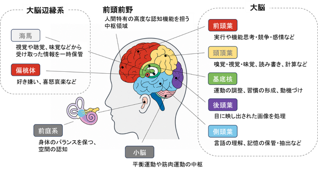 一般社団法人T-NEXT、MITS Technologiesと「卓球による認知症予防・改善に関する共同研究」の一次調査結果報告