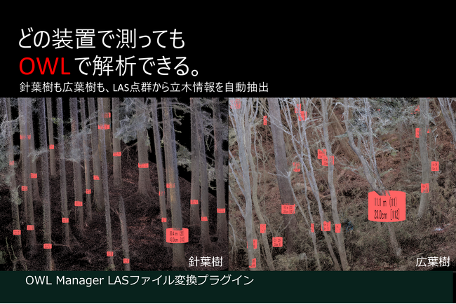 3Dデータから森林資源情報を自動抽出する「OWLManager LASファイル変換プラグイン」を発売