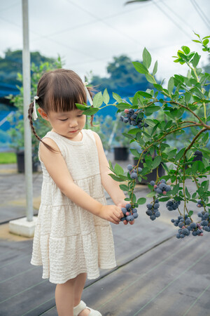 「自分で摘んでパクッ!」子どもの“やりたい”があふれる。子連れ家族来園…