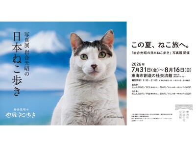 猫好き必見！岩合光昭氏による「岩合光昭の日本ねこ歩き」写真展が夏休み特別企画として開催