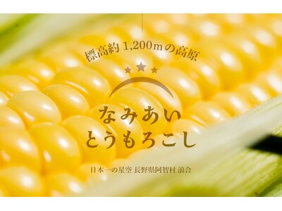 【日本一の星空】長野県阿智村　標高約1200ｍの高原で「なみあい とうもろこし」収穫体験開催
