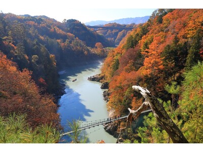 【日本一の星空】長野県阿智村　錦秋の南信州を満喫するモニターツアーに企画協力