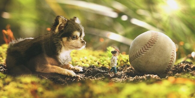 ԂybgggTCYhŃAoɎc2̃tHgA[h܍i104()ugtHg̓vɔ\I